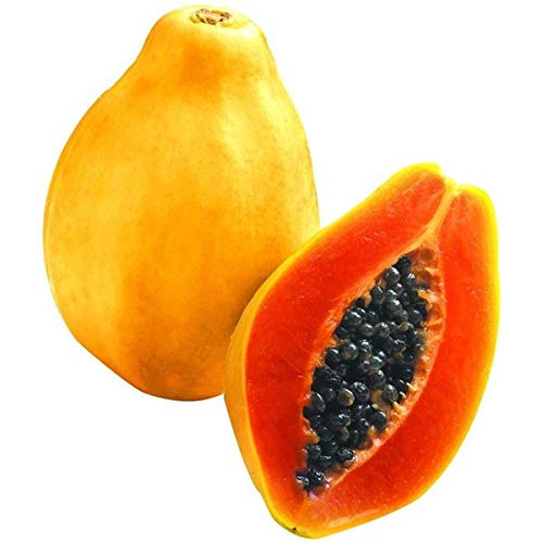 Golden Hills Farm® (AVG 50-300) seeds Gardens Rare Imported Red Lady Papaya Fruits Seeds (B0852QYL89) Amazon Price History, Amazon Price Tracker