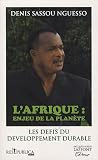 L'Afrique, enjeu de la plan&Atilde;&uml;te (French Edition)