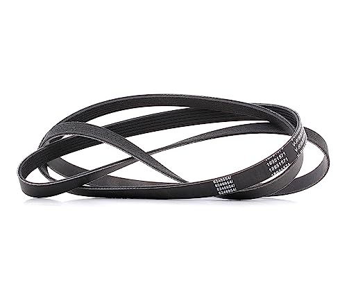 Courroie d'accessoire Poly-V RIDEX PLUS 305P0101P haute résistance