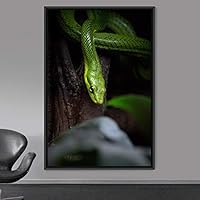 Framed Canvas Wall Art Snake Contemporary Dramatic Hallway Multicolor Photography Reptiles Snakes - 16x24 inches