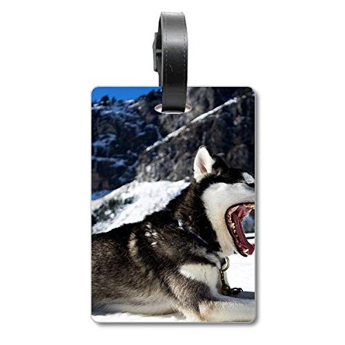 Étiquette valise motif chien Big Mouth porte nom bagage voyage