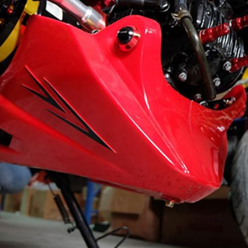 Spoiler pour moto haut de gamme à design aérodynamique fluide - 2