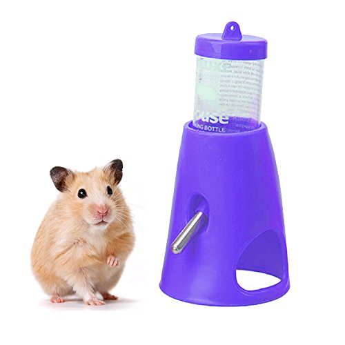 Sage Square Water Bottle with Stand Cum Hideout Cum Hide House for Hamster/Dwarf/Gerbil/Mice/Guinea Pig/Ferret/Rabbit (Blue) (B079T2G9FW) Amazon Price History, Amazon Price Tracker