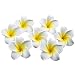 Happy Will 50 Pcs Hawaiian Foam Artificial Plumeria Rubra Hawaiian Flower Petals For Wedding Party Decoration (50)
