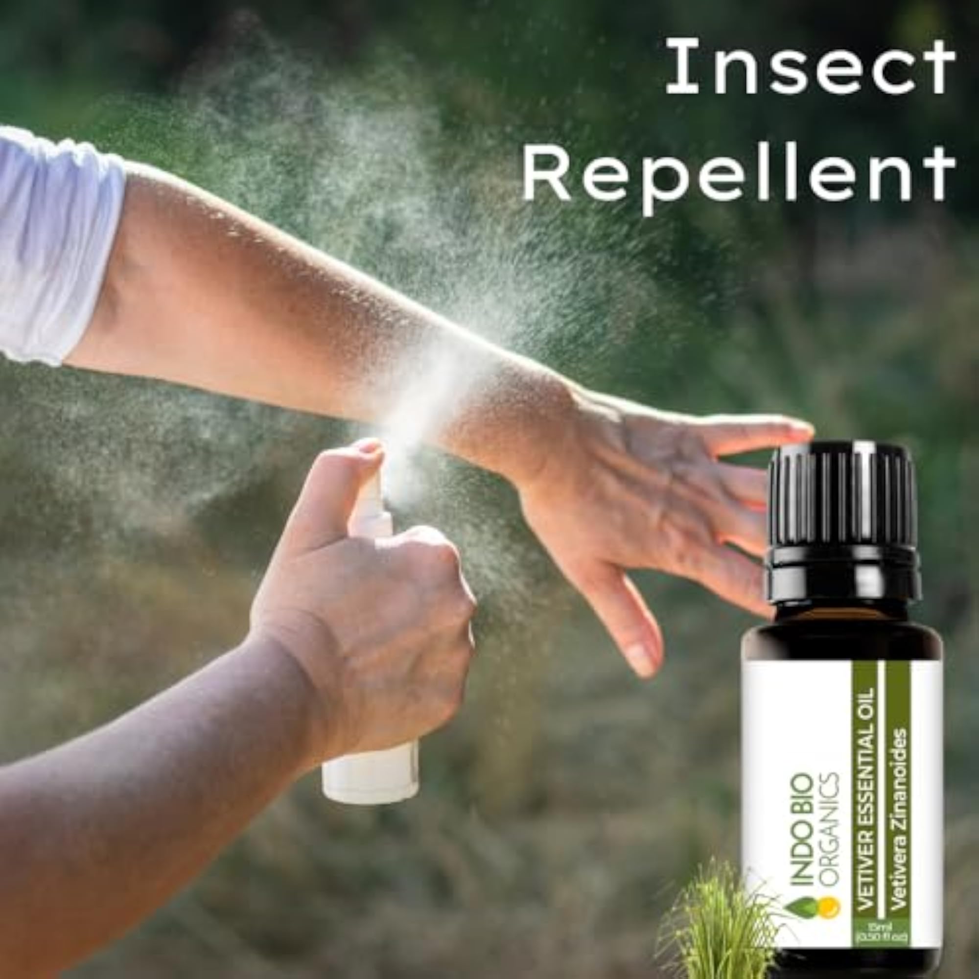 INDO BIO ORGANICS Vetiver Essential Oil, Natural Fragrance