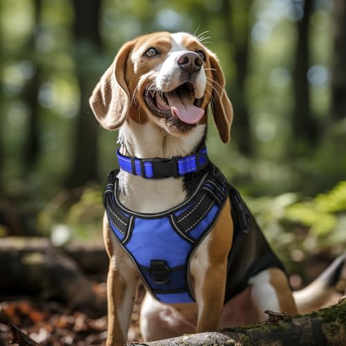 Image of Joytale Reflective Dog Collar, Soft Neoprene Padded, Metal D-Ring, Nylon Pet Collar Adjustable for Large Dogs, Navy Blue, L