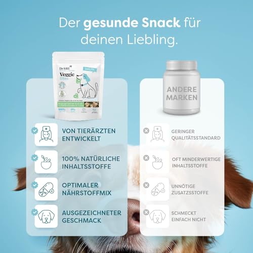 Dr. SAM Veggie Bites für Hunde – Vegetarische Hundesnacks mit Buchweizen, Karotten & Spirulina – Hypoallergen & Glutenfrei – Natürliche Leckerlis für Sensible Hunde - 200g