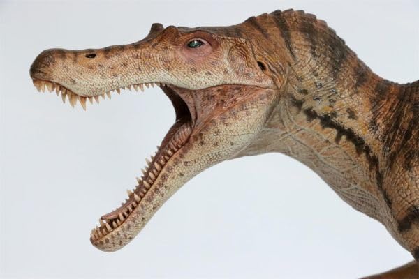 Amazon.co.jp: Nanmu 本心楠改 スピノサウルス 2.0版 法老 限定版