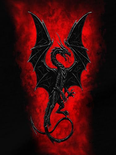 Image of PAGYMO Graphic Hoodies for Men Funny Novelty Pullover Hooded Sweatshirt