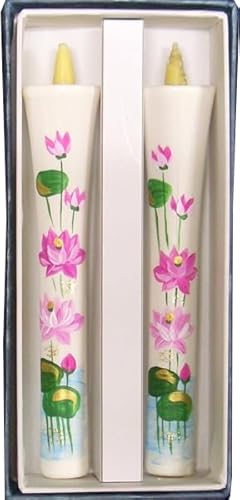 @i͂j 6 G낤 2{ 12cm i`j a낤 d aXC XC 낤 d  ~ ~ ~  ~  i ~    ~  