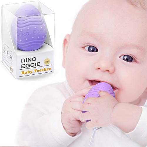 dino eggie teether