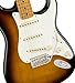 Fender Stories Collection Eric Johnson 1954 “Virginia” Stratocaster - 2-Color Sunburst Bundle with Case, Cable, Strap, and Guitar Cleaning Kit