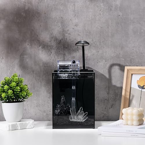 Kit de nano aquário, tanque de vidro pequeno sem aro de 1,5 galão com filtro, luz de aquário e decor