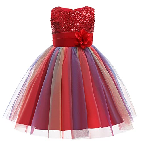 Mädchen Prinzessin Kleid Pailletten Tüll Blume Regenbogen...