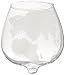 The Wine Savant 2 Piece Etched Spinning Globe Glasses, Beautiful Scotch and Whiskey Glasses, Classic Look for Any Bar