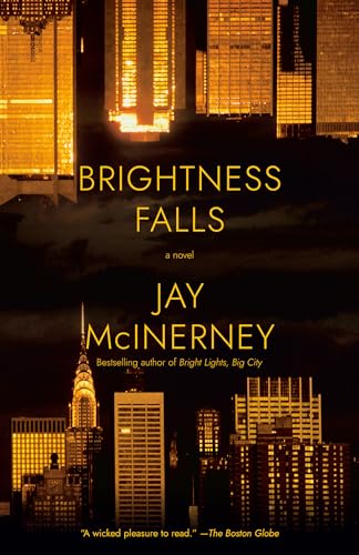 Brightness Falls (Vintage Contemporaries)