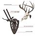 Allen Company EZ Mount Skull Hanger, Fixed, Brown