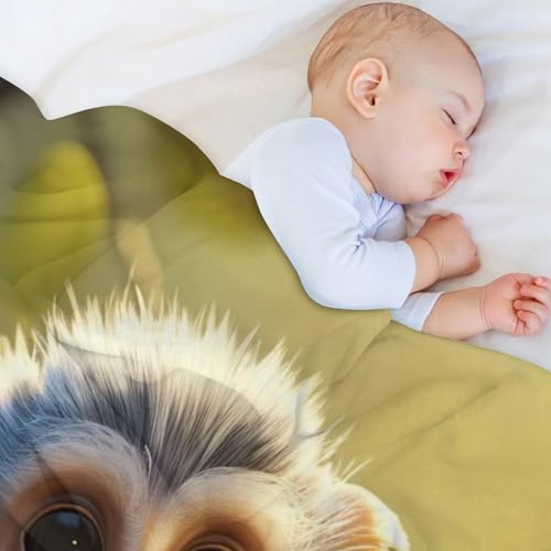 Couverture polaire singe plaid chaud pour soirées cocooning canapé
