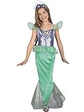 Size 4-6X Ariel Costume