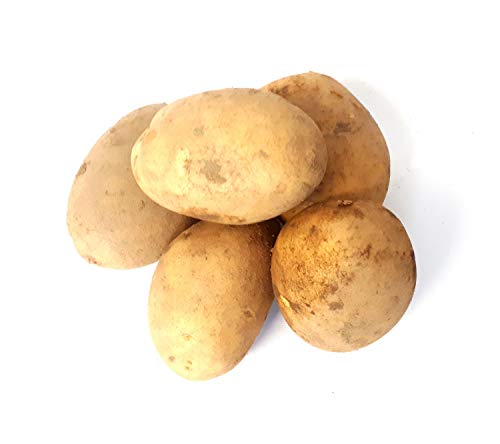 Kartoffel Kaufen Die 15 besten Produkte im Vergleich HundeINFOPortal