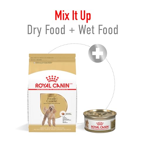 ROYAL CANIN Breed Health Nutrition Poodle Adult Dry Dog Food, 2.5-Pound by Royal Canin