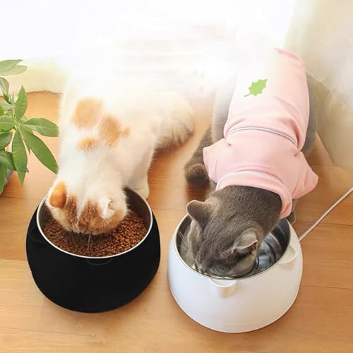 Katzennapf Edelstahl 2 Stück, 15° Geneigter Erhöhter Katzen Futternapf Set, 400ML Fressnapf Für Katze Hunde, Wasser Fütterung Schüssel Abnehmbarer Katzennäpfe