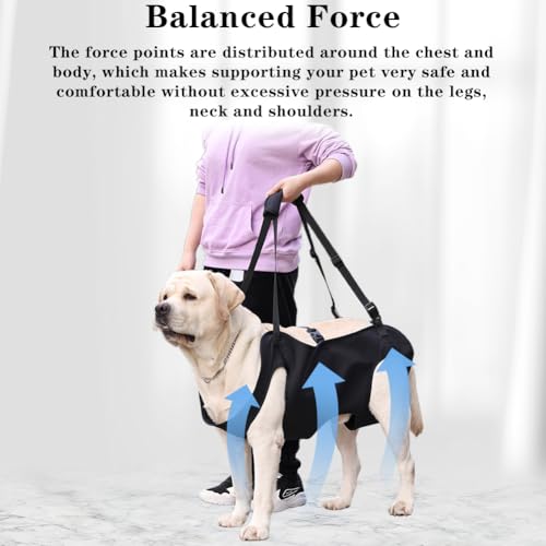 Umllpet Hunde Tragehilfe, Tragehilfe Hund Treppe, Tragbares Hundegeschirr, Verstellbare Gehhilfe für Hunde, Hundtragegurt für Kranke oder ältere Hunden,Ganzkörperhebehilfe für Mittlere Hund(Schwarz,M)