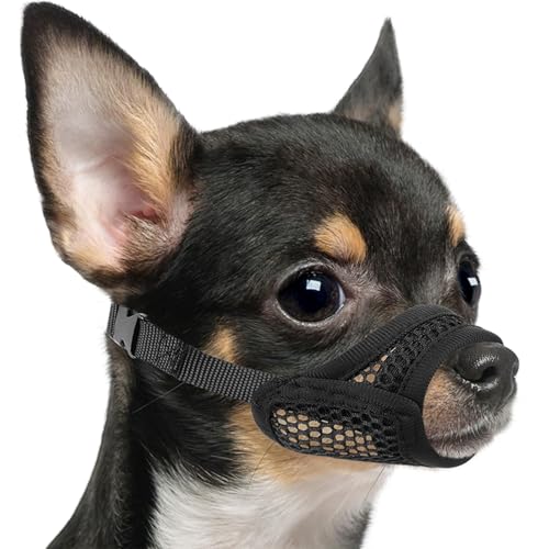 5. Sorvegliare i cani con museruola per la sicurezza: non lasciare mai un cane con museruola senza sorveglianza, poiché lo stress può scatenare rischi. Tenere i bambini lontano dai cani ansiosi, anche con museruole. Le museruole sono accessori per l'allenamento, non giocattoli. Supervisionare sempre le interazioni per prevenire incidenti.