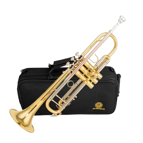 AUROSUS SB710