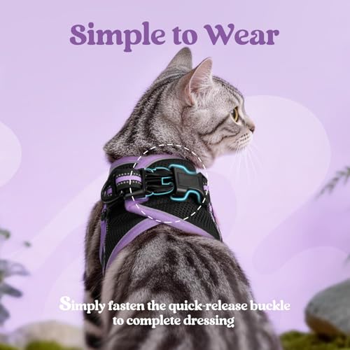 Image of rabbitgoo Cat Harness and Leash Set, Step-in Soft Vest, Black-Light Purple | Escape Proof, Lightweight, Easy-on & Adjustable, Hook & Loop with Buckle, Reflective, for Small Cats Walks, L