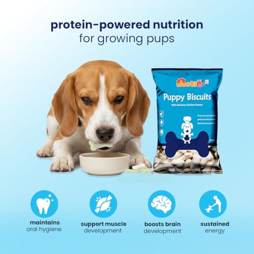 Image of Nootie Milk Biscuits for Puppies - 900g x 2 | Real Milk & Cheese Flavour | Natural & Digestible Calcium Dog Biscuit for Puppy for Training, Dental Care & Growth | Healthy Treats for All Puppy Breeds
