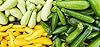 This is a Mix 50 Zucchini and Squash Mix Seeds 12 Varieties Non-GMO Delicious Grown in USA. Rare Super Profilic #5