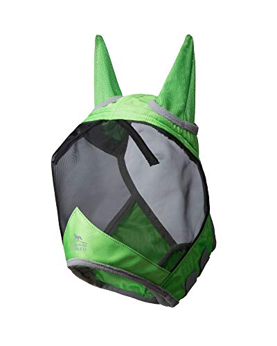 https://m.media-amazon.com/images/I/41XnDCT2QQL._SL500_.jpg