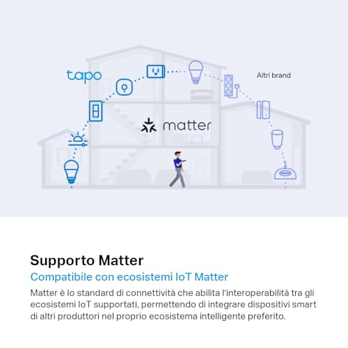 TP-Link Tapo P100M Matter Presa Smart, Presa