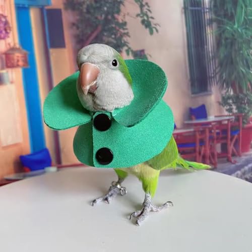 Image of Pet Parrot Anti-bite Elizabethan Collars, Anti-Grab Feather Plucking Wound Healing Safety Recovery Collar Cones for Budgerigar Lovebird Conure Cockatiel Cockatoo Random Color (M)