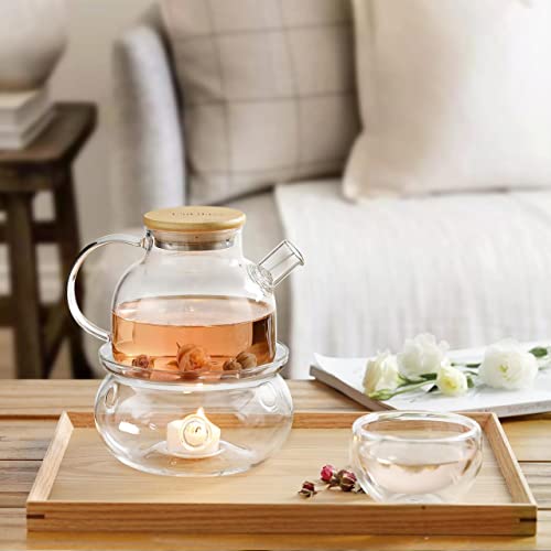 Cnglass Glass Tea Warmer 5.3 In/13.5Cm Diameter (Candle Not Included) #TOP5