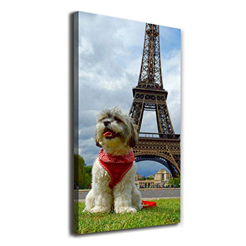 Peintures sur toile animaux de salon 60x120 : image sur toile multicolore prete a suspendre