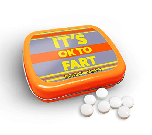 Its OK to Fart Mints  Wintergreen Breath Mints  Novelty Candy Gift for Men  Hinged Collectible Tin of Sugar-Free Candy