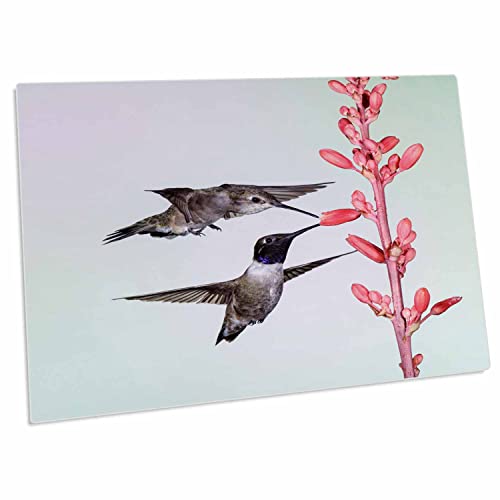 Alfombrilla 3dRose Negro Colibrí para Escritorio 58x40cm miniatura 1