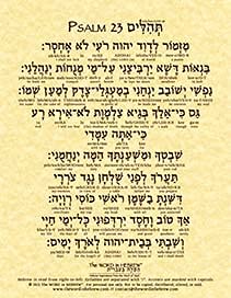 Psalm 23 in Hebrew Print - The Lord is My Shepherd... 8.5"x11" ECO