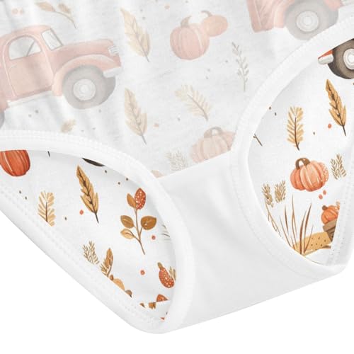 ZZKKO Farm Truck Crops Farmhouse Girls Underwear Toddler Panties for Girls Comfort Brief Size 2-8T4
