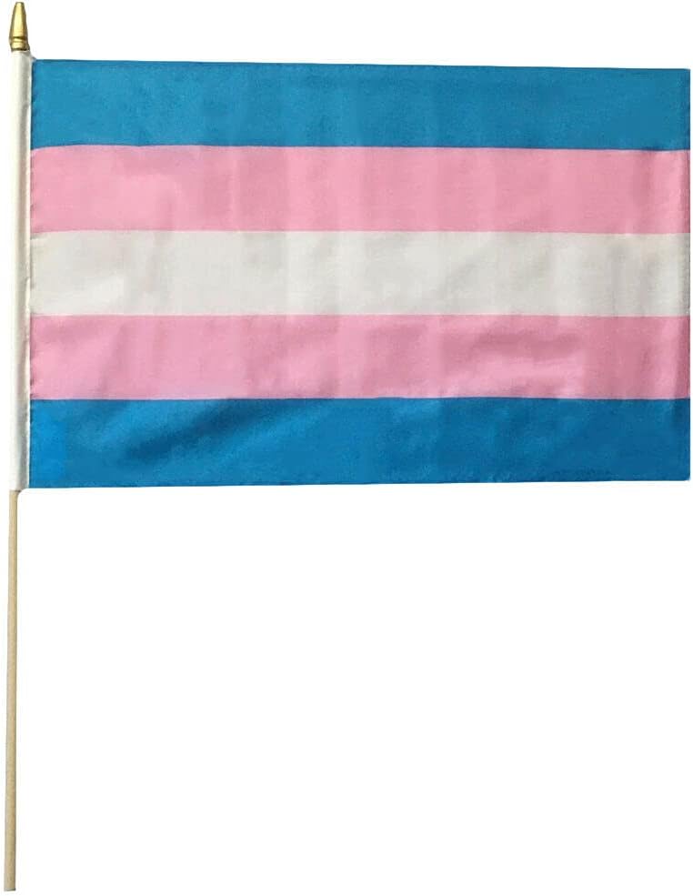 12 Pack Transgender Plain 12"x18" 68D Rough Tex Nylon Wood Stick Flag 24" Staff