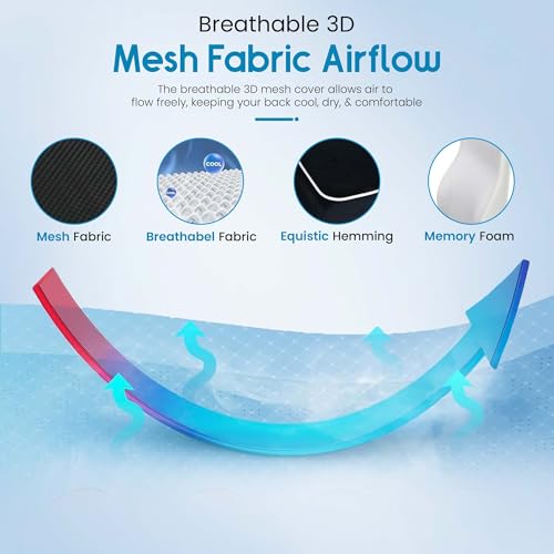 RUKHS SUPPLY Lumbar Support Pillow for Office Chair and Car, Premium Memory Foam Back Cushion for Back Pain Relief Improve Posture Ergonomic Cushion with Breathable Mesh Cover and Adjustable Straps