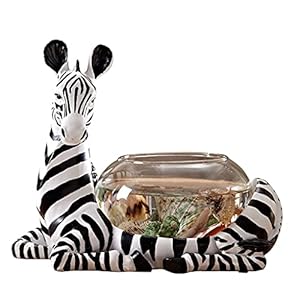ZHANGJINYISHOP2016 Vis Tank Creatief Desktop Kleine Vis Tank Thuis Kantoor Decoratie Desktop Decoratie Glas Goudvis Tank…