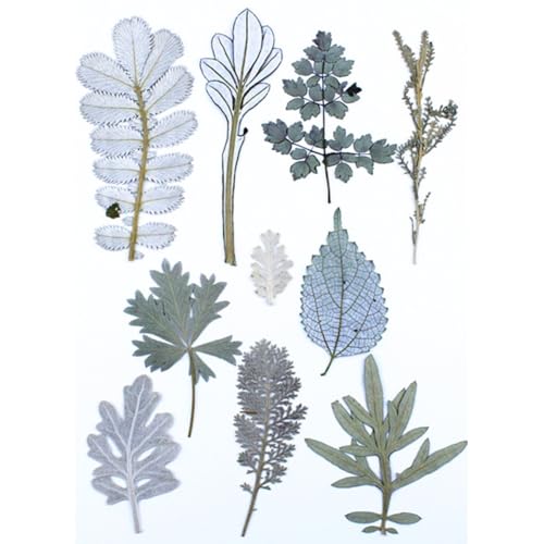 Kit de Hojas y Flores Secas para Arte Manual miniatura 5