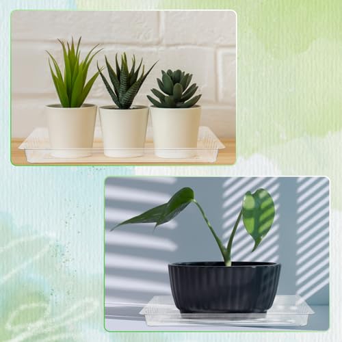Silifine DUI-SILIFINE-177 20 Pcs Clear Plastic Plant Saucer Rectangular Plant Drip Trays Transparent Thick Heavy Duty Plastic Liners thumb #5
