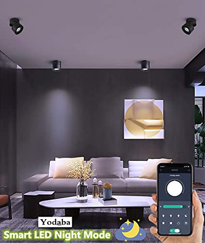 Image of LED Dimmable Ceiling Art Spotlight - 360Adjustable Indoor Surface Mounted 10W COB Lighting -Stepless Dimming Warm Light 3000K to Cool White 6000K Ceiling Downlight-Wall Swivel Lamp (Black)