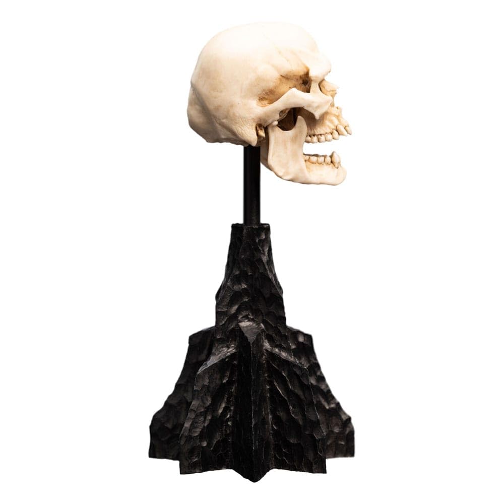 Weta Workshop Le Seigneur des Anneaux Statuette Skull of a Mordor Orc 14 cm