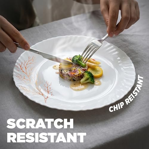 Image of Treo by Milton Opalware Aurelia Silvia Dinner Set of 13 | Serving for 4 | Microwave & Dishwasher Safe | Bone-Ash Free | Tempered Toughness | Plates & Bowls | Crockery Set for Dining & Gifting | White