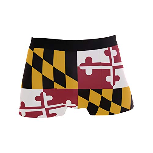 ZZKKO Bee Rooster Dragon Mens Boxer Briefs Underwear Breathable Stretch Boxer Trunk with Pouch S-XXL